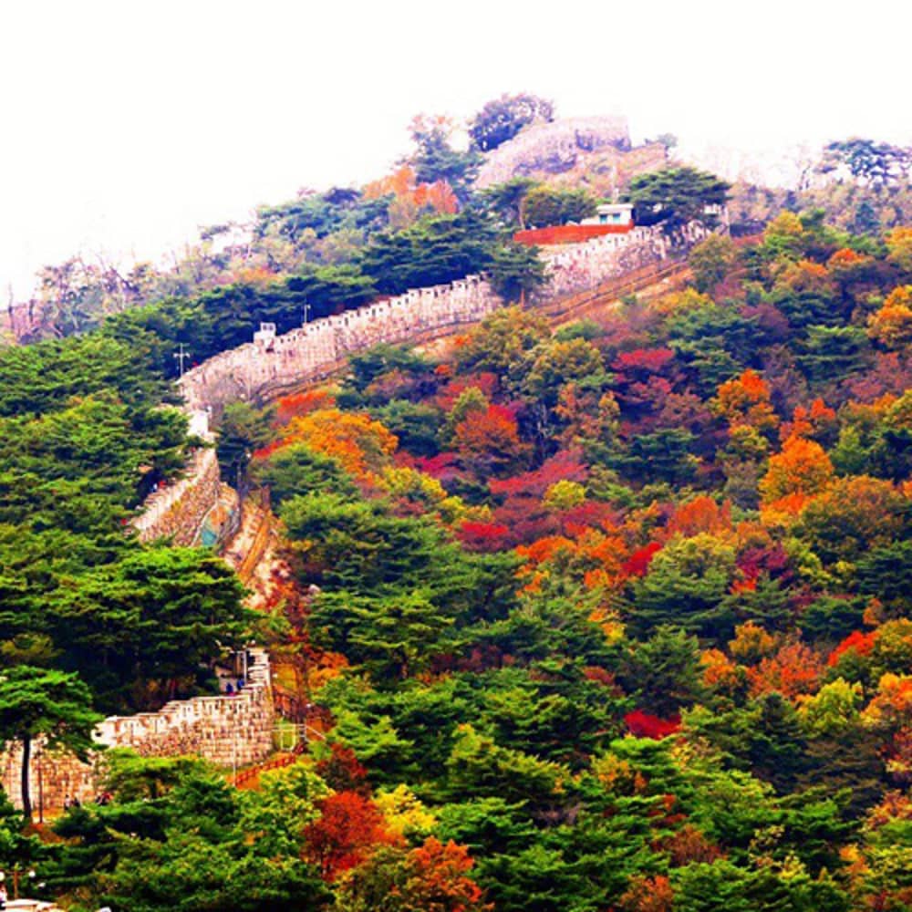 Những điểm ngắm lá vàng mùa thu ở Seoul